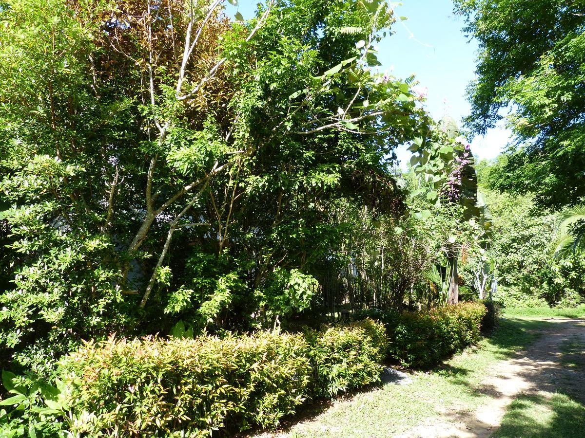 Seagull Villa Ko Lanta Dış mekan fotoğraf
